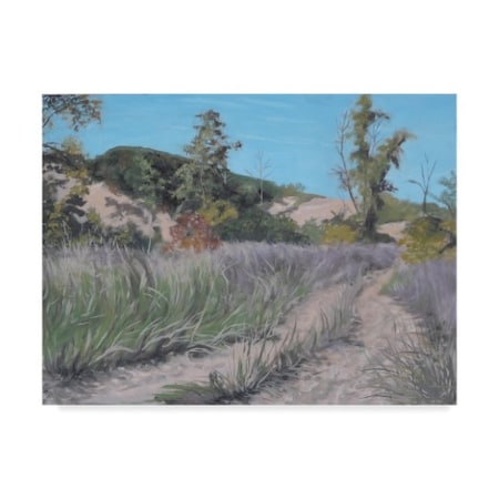 Rusty Frentner 'Country Road' Canvas Art,14x19